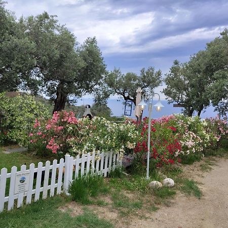 Villa Pierina Finale Ligure Eksteriør billede