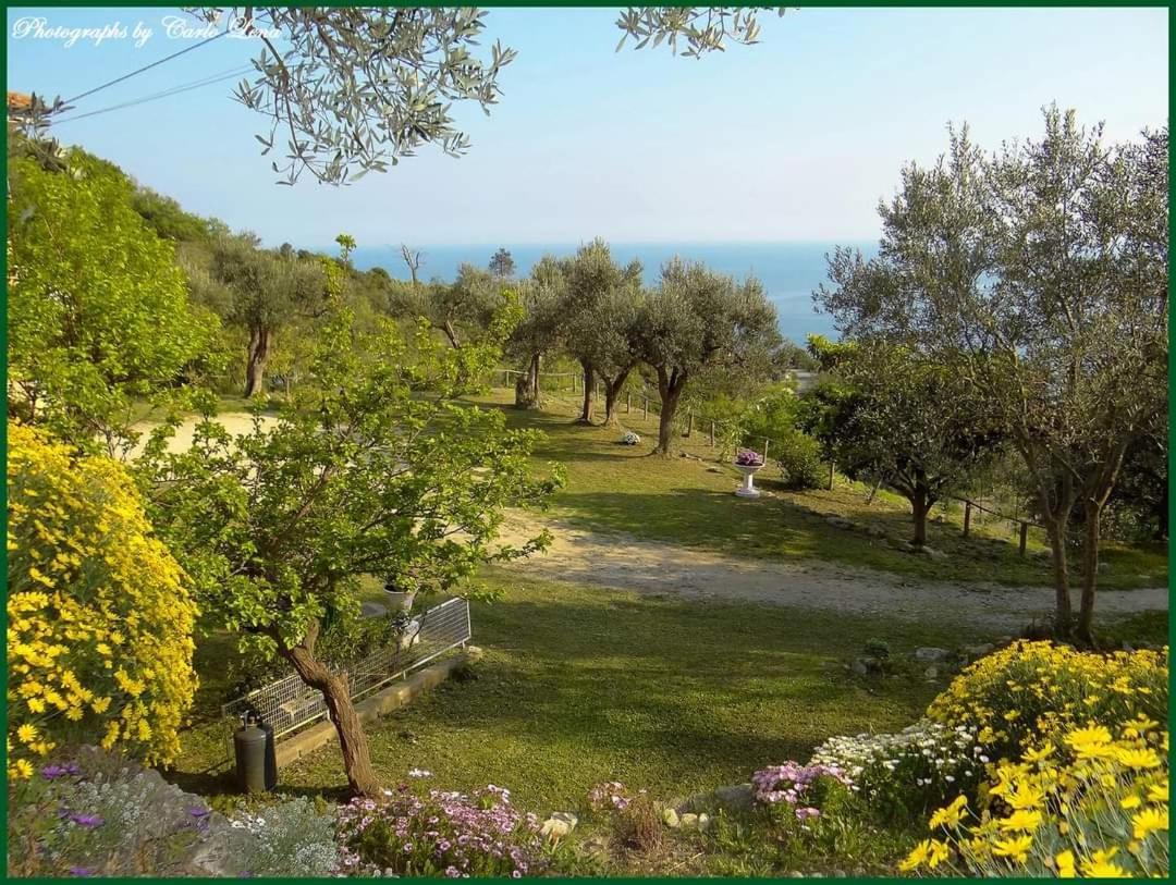 Villa Pierina Finale Ligure Eksteriør billede