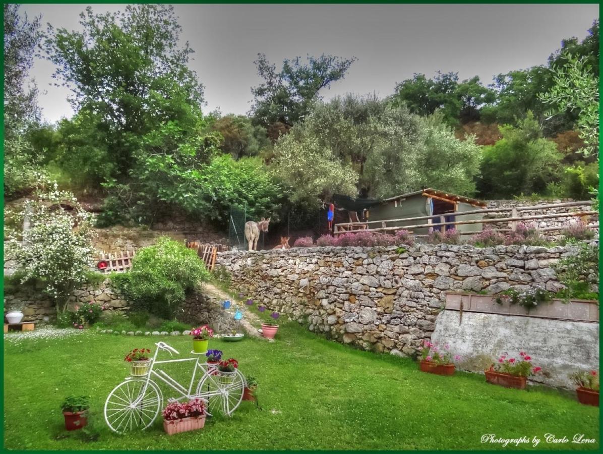 Villa Pierina Finale Ligure Eksteriør billede