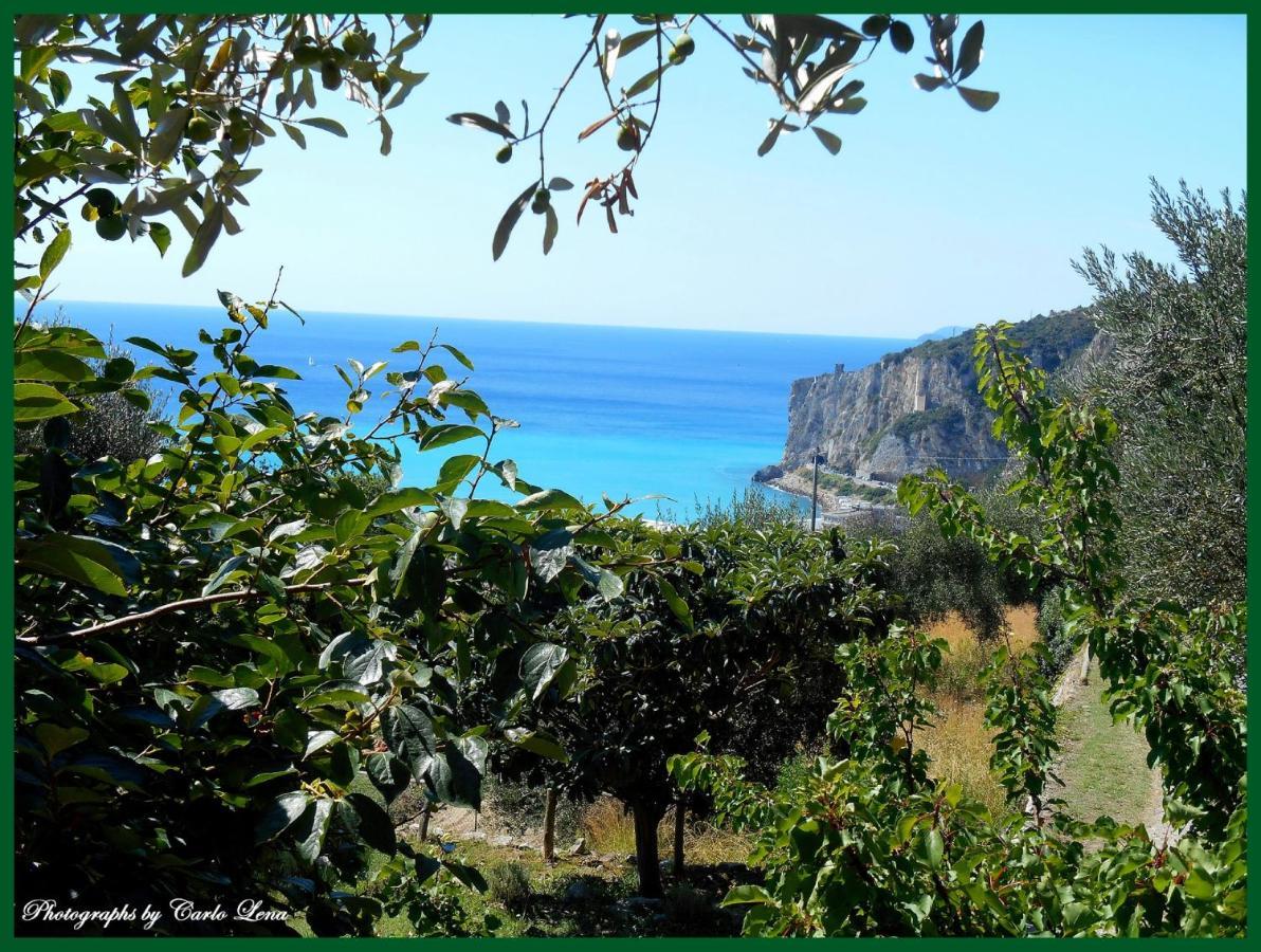 Villa Pierina Finale Ligure Eksteriør billede