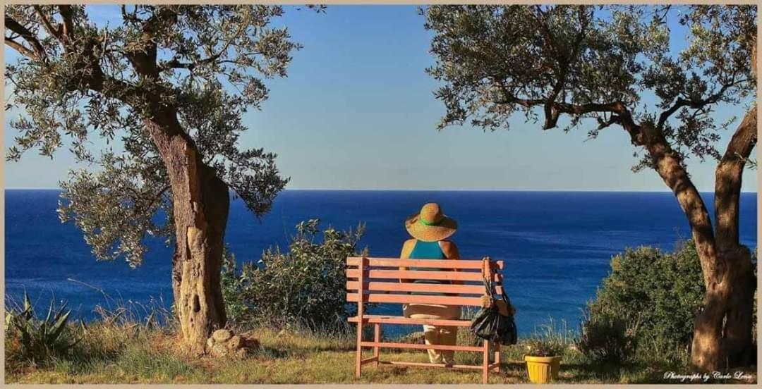 Villa Pierina Finale Ligure Eksteriør billede