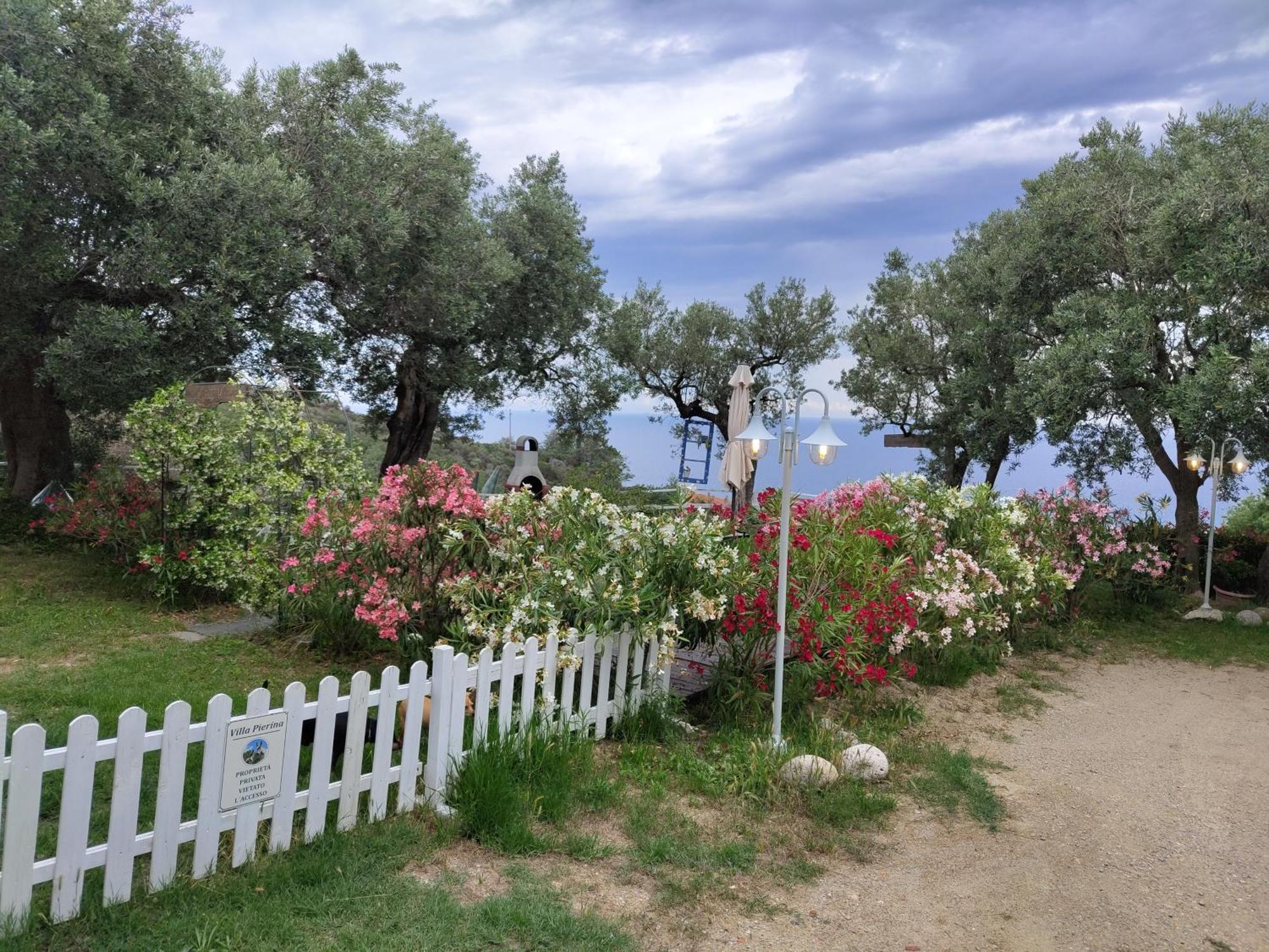 Villa Pierina Finale Ligure Eksteriør billede