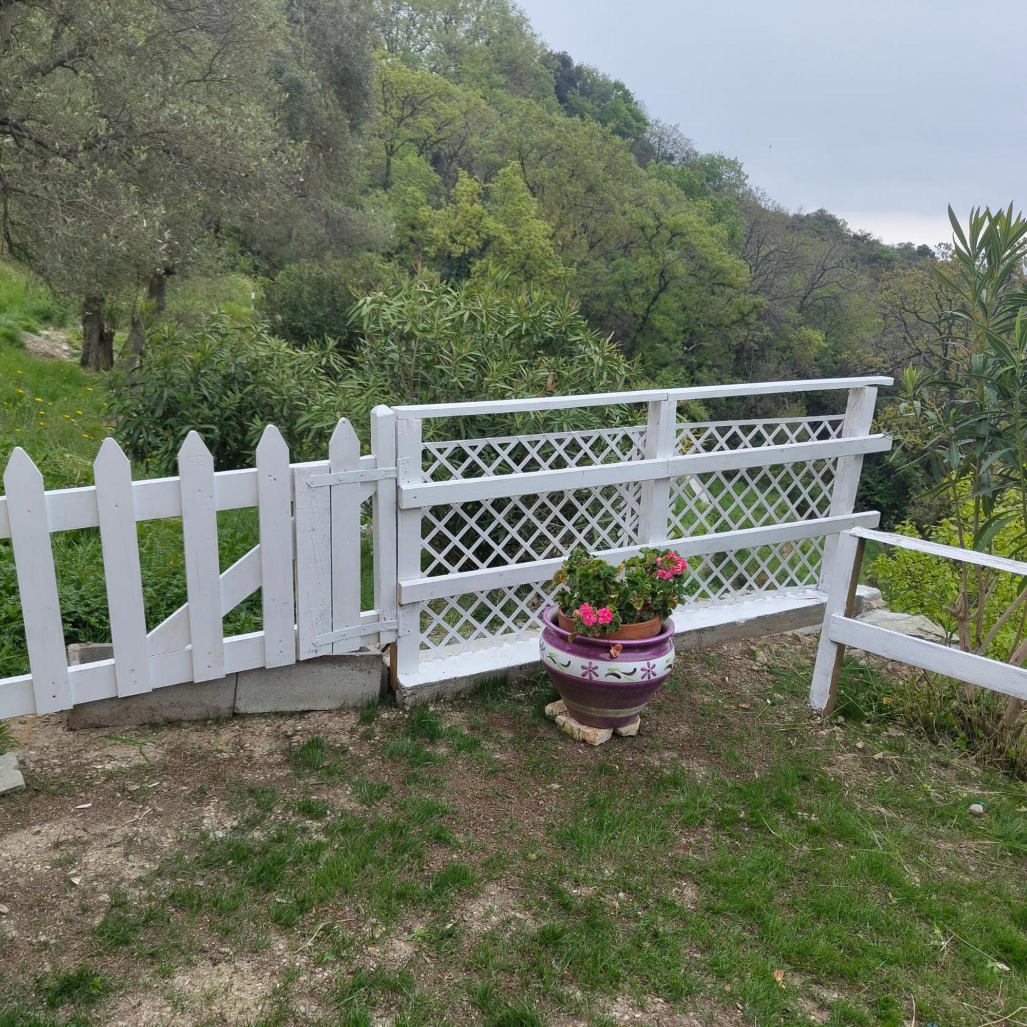 Villa Pierina Finale Ligure Eksteriør billede