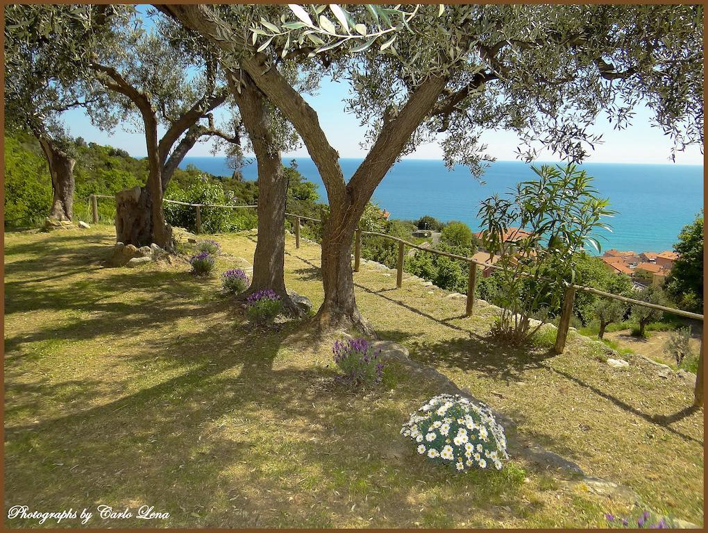Villa Pierina Finale Ligure Eksteriør billede